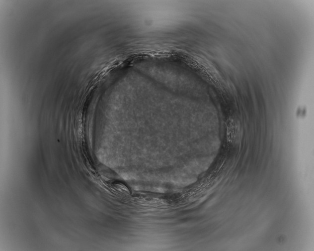 X0000098111298200805021123