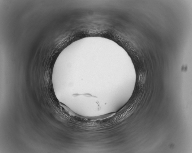 X0000098111300200805021123