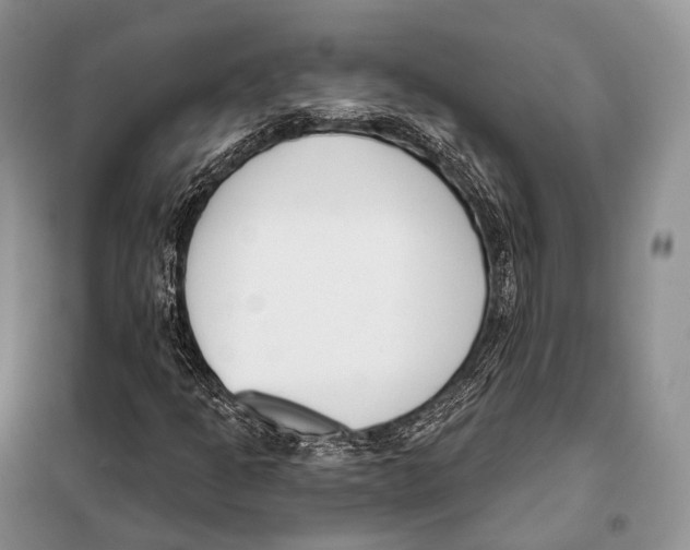 X0000098111301200805021123