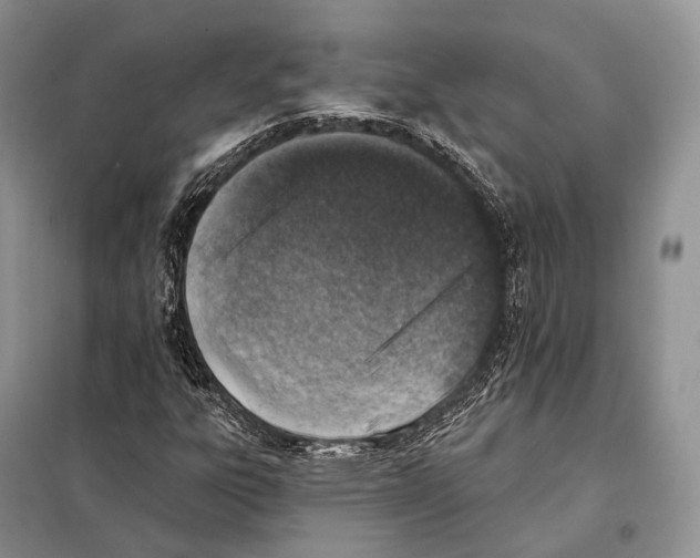 X0000098111303200805021123