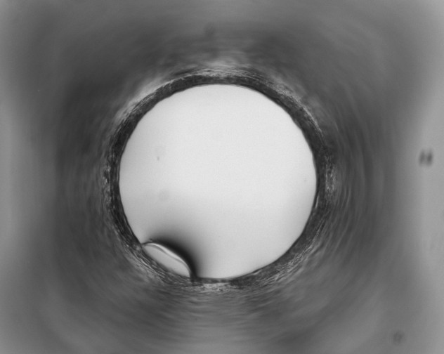 X0000098111304200805021123