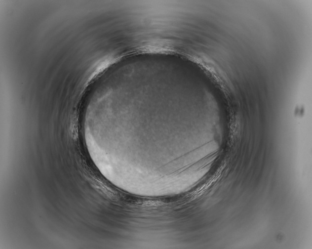 X0000098111306200805021123