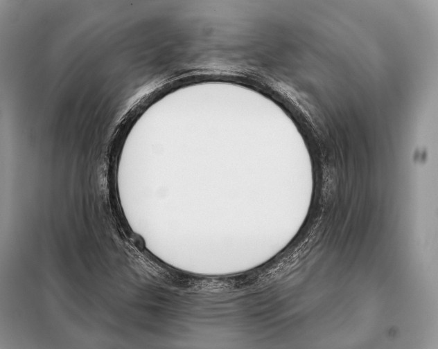 X0000098111307200805021123