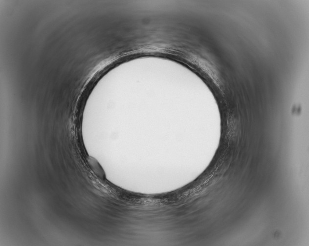 X0000098111308200805021123