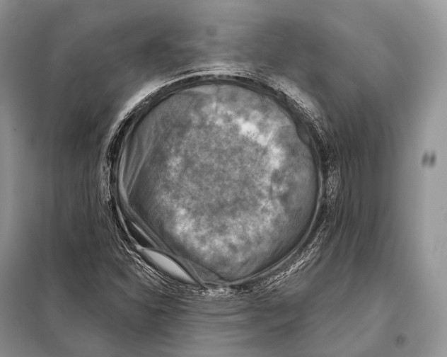 X0000098111310200805021124