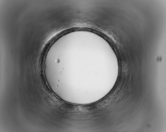 X0000098111311200805021124