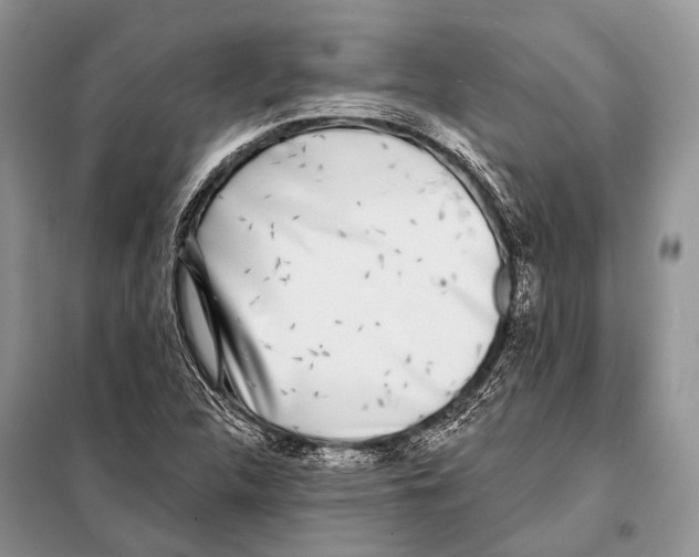 X0000098111312200805021124