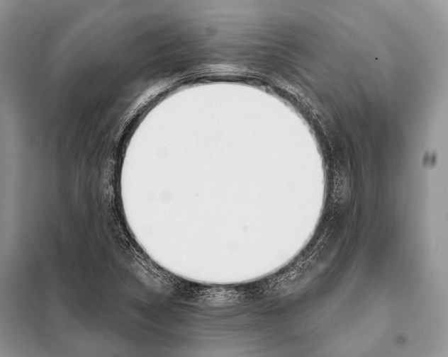 X0000098111314200805021124