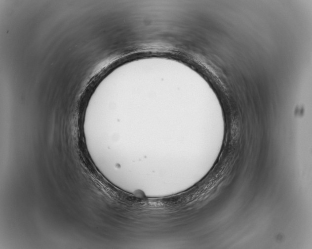 X0000098111315200805021124