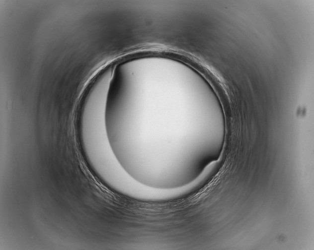 X0000098111318200805021124