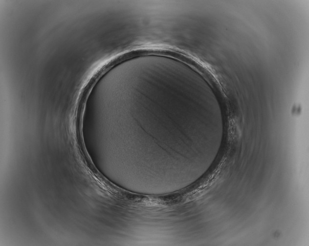 X0000098111319200805021124