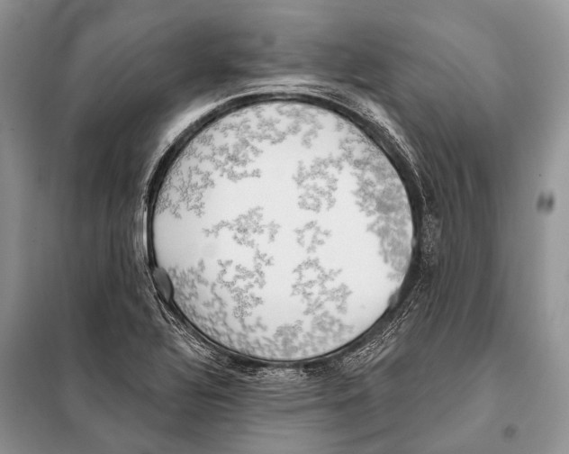 X0000098111320200805021124