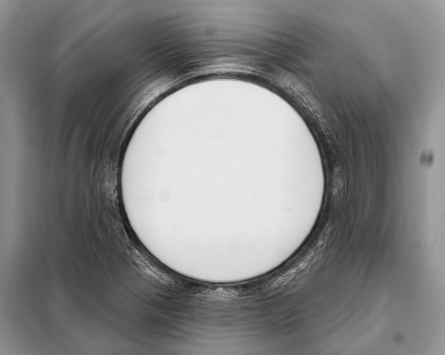 X0000098111321200805021124