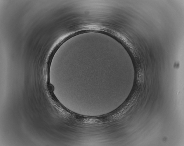 X0000098111323200805021124