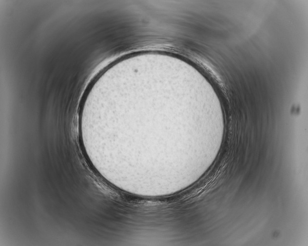 X0000098111324200805021124