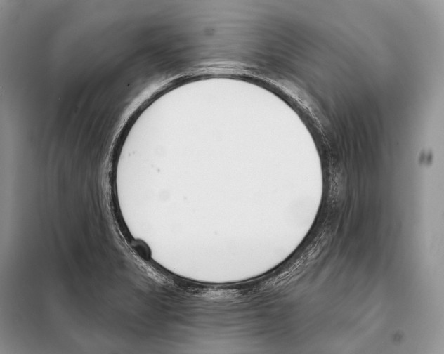 X0000098111325200805021124