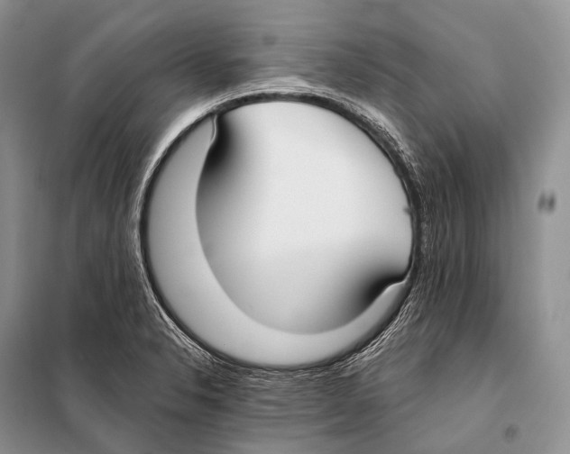 X0000098111326200805021124