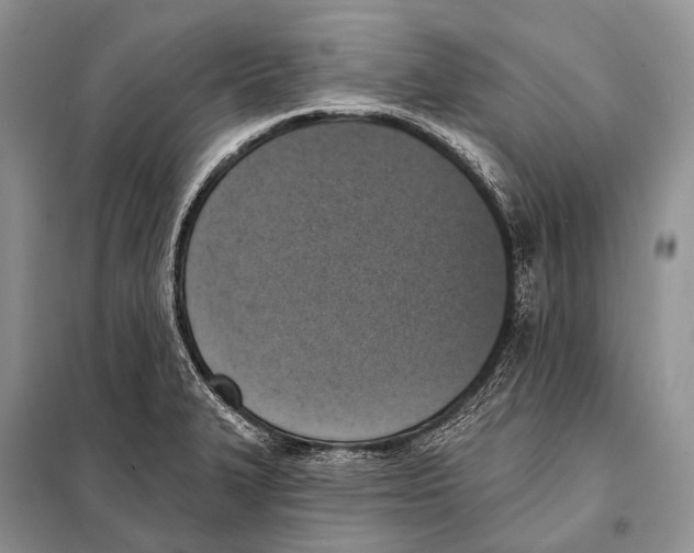 X0000098111327200805021124