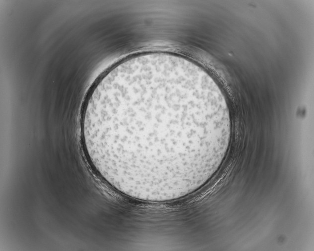 X0000098111328200805021124