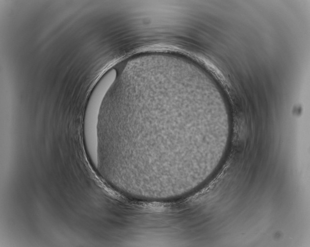 X0000098111329200805021124