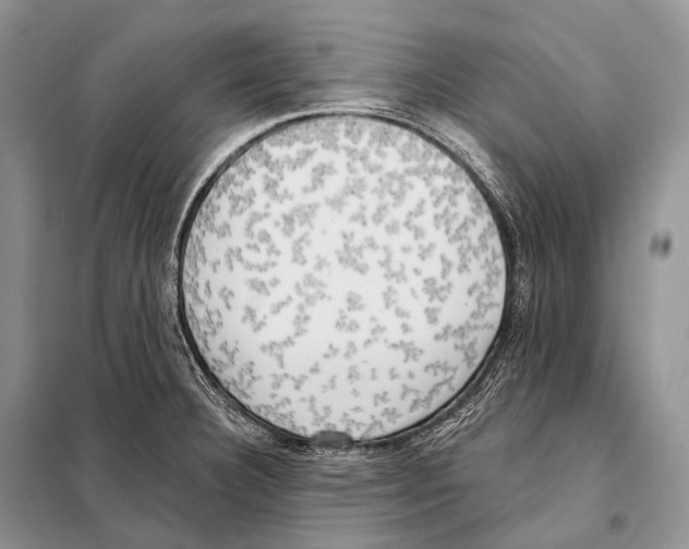 X0000098111332200805021124