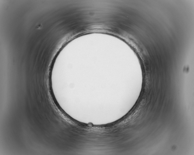 X0000098111333200805021124