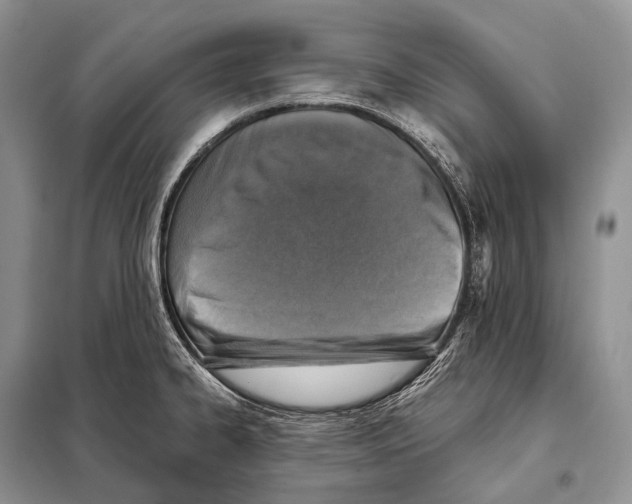 X0000098111334200805021124