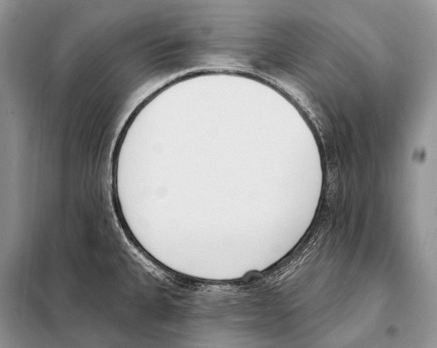 X0000098111335200805021124