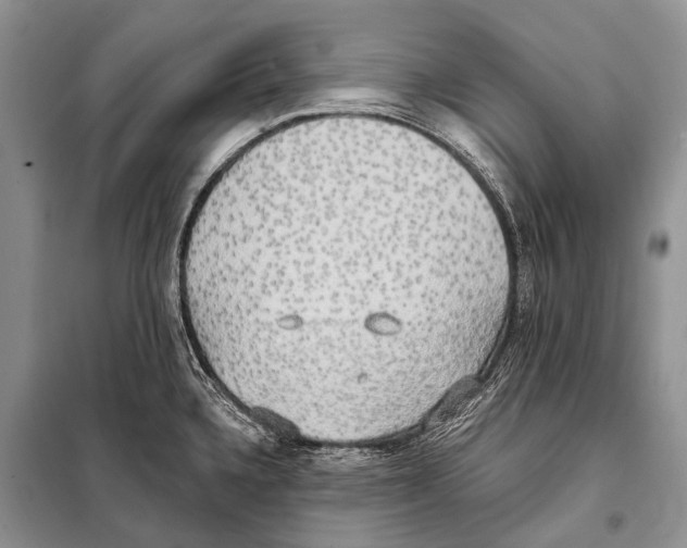 X0000098111336200805021124