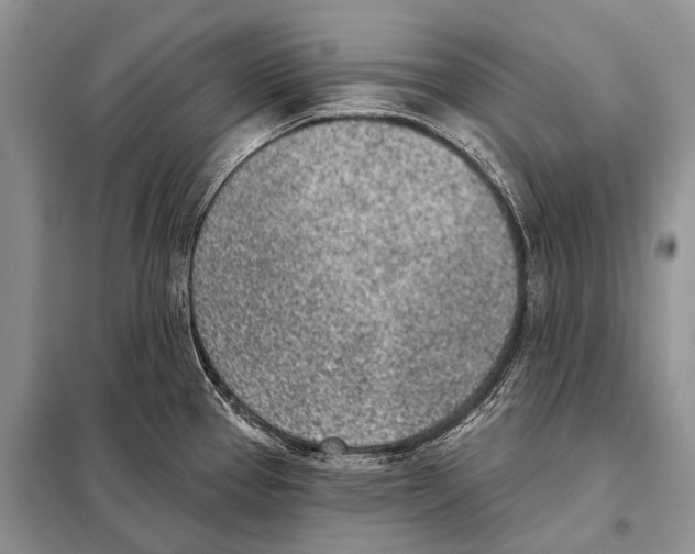 X0000098111337200805021124