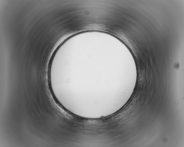 X0000098111339200805021124