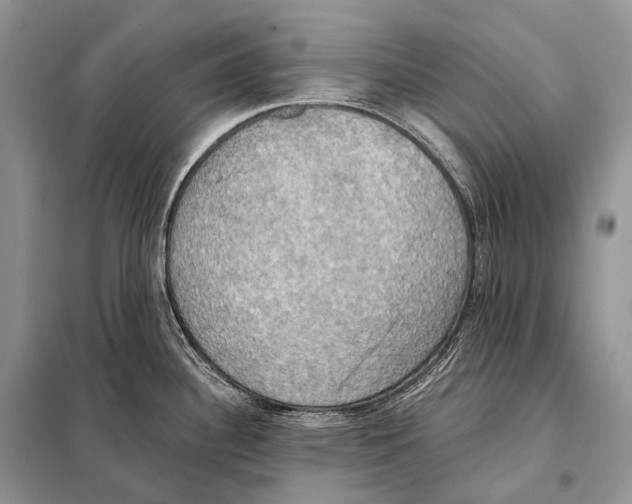 X0000098111340200805021124