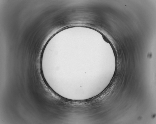 X0000098111341200805021124