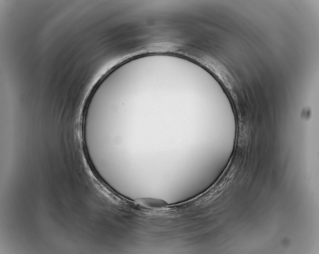 X0000098111342200805021124