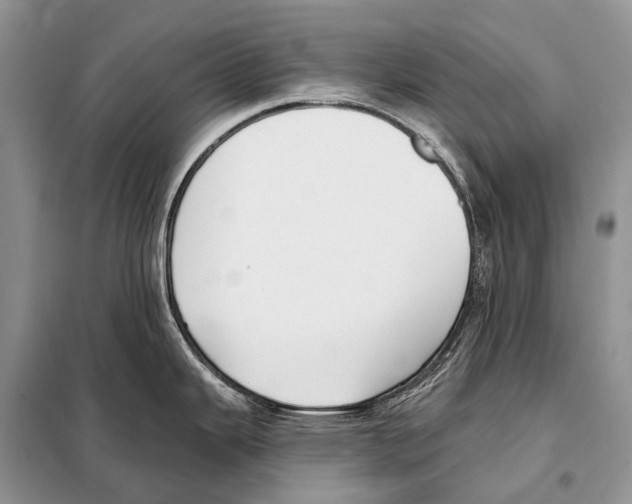 X0000098111343200805021124