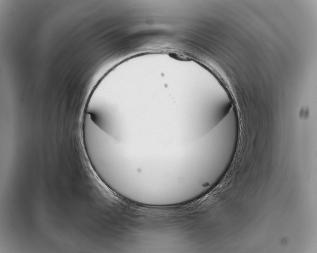 X0000098111344200805021124