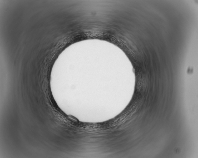 X0000098111345200805021123