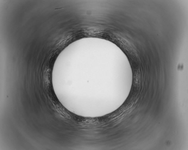 X0000098111346200805021123