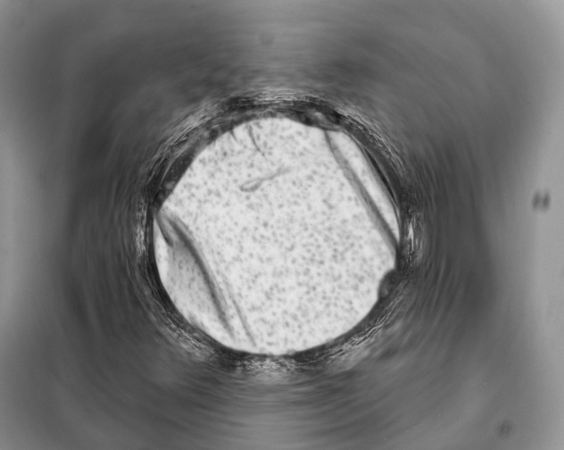 X0000098111348200805021123