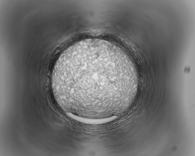 X0000098111349200805021123