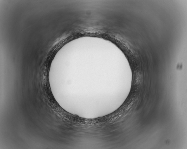 X0000098111350200805021123