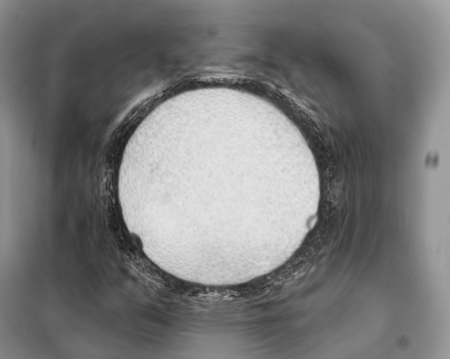 X0000098111351200805021123