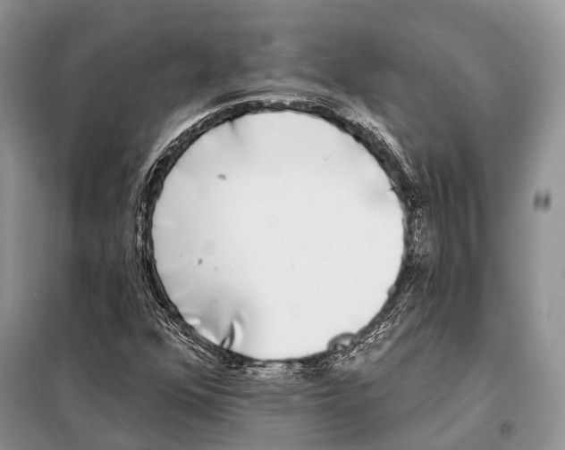 X0000098111352200805021123