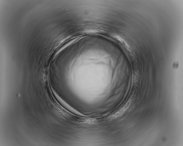 X0000098111353200805021123