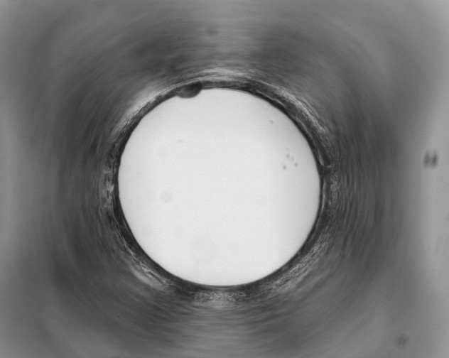 X0000098111355200805021123