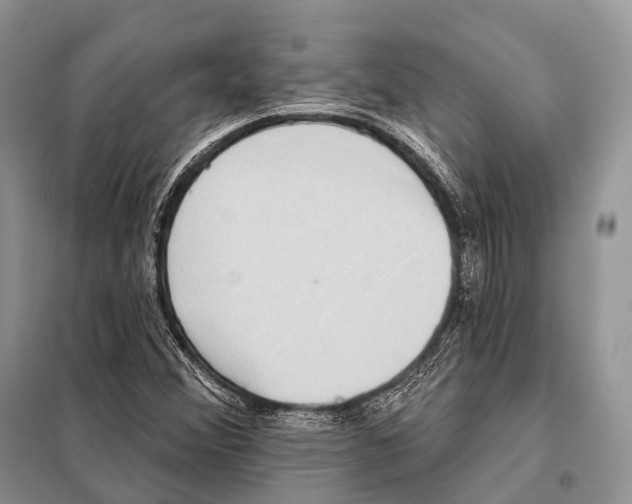 X0000098111356200805021123