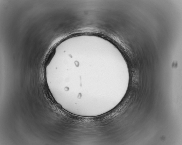 X0000098111358200805021123