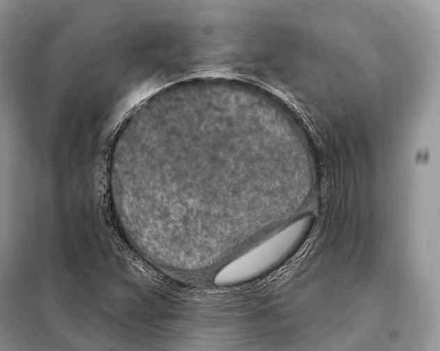 X0000098111359200805021123