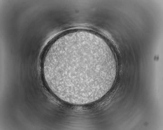 X0000098111360200805021123