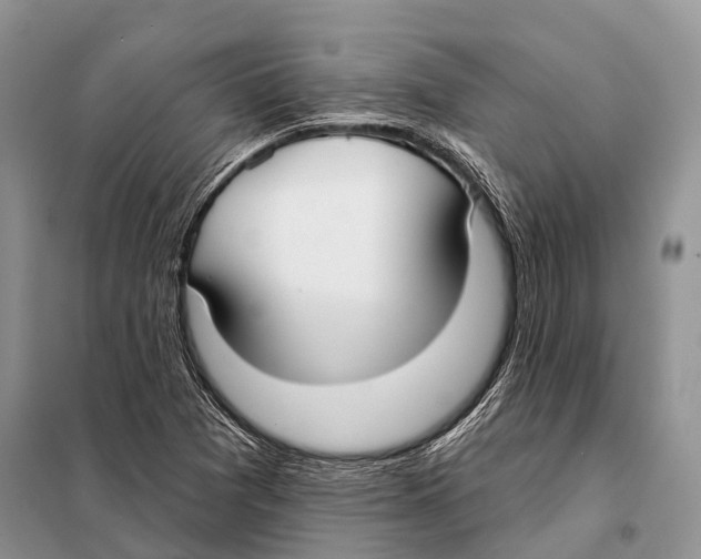 X0000098111361200805021123